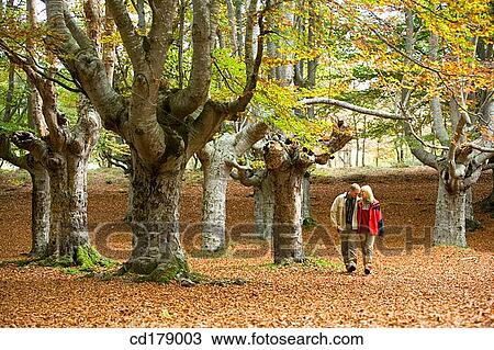30's, bond, autumn, 20's View Large Photo Image Stock Image - 30's, bond, autumn, 20's. Fotosearch