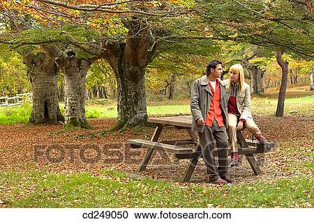 30's, calm, bench, autumn, 20's View Large Photo Image Stock Image - 30's, calm, bench, autumn, 20's. Fotosearch