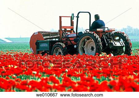 Agricultural machinery, boy, agriculture, activity View Large Photo Image Stock Photo - Agricultural machinery, boy, agriculture, activity. Fotosearch