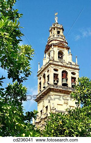 Alminar Tower, once minaret of Great Mosque of Cordoba, seen from the Patio de los Naranjos. Andalusia, Spain View Large Photo Image Stock Image - Alminar Tower, once minaret of Great Mosque of Cordoba, seen from the Patio de los Naranjos. Andalusia, Spain. Fotosearch