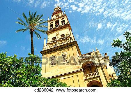 Alminar Tower, once minaret of Great Mosque of Cordoba, seen from the Patio de los Naranjos. Andalusia, Spain View Large Photo Image Stock Image - Alminar Tower, once minaret of Great Mosque of Cordoba, seen from the Patio de los Naranjos. Andalusia, Spain. Fotosearch