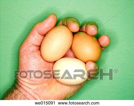 animal, Close-up, biological, agriculture View Large Photo Image Stock Image - animal, Close-up, biological, agriculture. Fotosearch