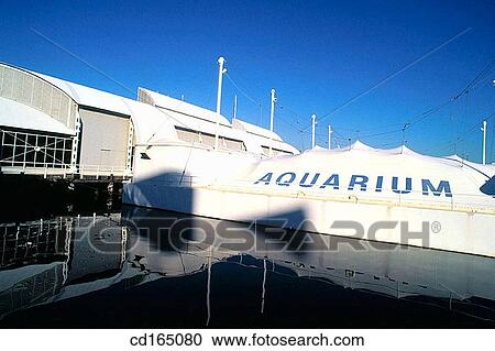 Aquarium. Sydney. Australia View Large Photo Image Stock Image - Aquarium. Sydney. Australia. Fotosearch