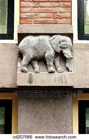 architecture, concept, Close-up, building, animal View Large Photo Image Stock Photograph - architecture, concept, Close-up, building, animal. Fotosearch