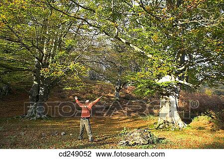 Arms raised, calm, Arms open View Large Photo Image Stock Image - Arms raised, calm, Arms open. Fotosearch