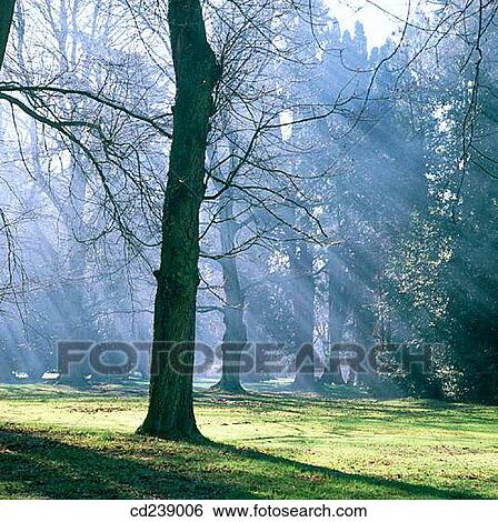 Ashridge House Gardens. Hertfordshire. England View Large Photo Image Stock Photograph - Ashridge House Gardens. Hertfordshire. England. Fotosearch