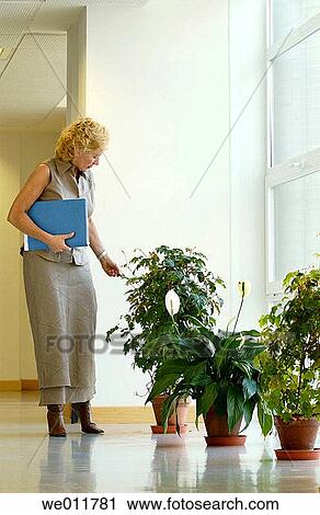 baby boomer, business, businesspeople, businesswoman View Large Photo Image Stock Image - baby boomer, business, businesspeople, businesswoman. Fotosearch