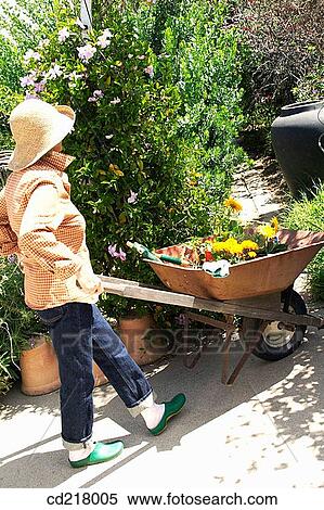 back view, barrow, carry, carrying View Large Photo Image Stock Photography - back view, barrow, carry, carrying. Fotosearch
