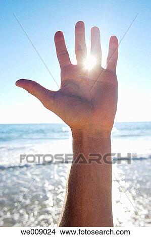 backlight, Close-up, contemporary, day View Large Photo Image Picture - backlight, Close-up, contemporary, day. Fotosearch