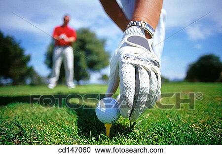ball, competition, companion, ability View Large Photo Image Stock Image - ball, competition, companion, ability. Fotosearch