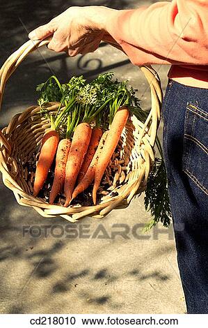 Stock Image - basket, carrot, contemporary, country. Fotosearch