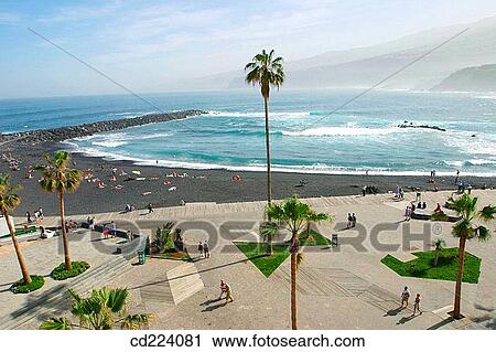 Beach. Puerto de la Cruz. Tenerife. Canary Islands. Spain View Large Photo Image Stock Image - Beach. Puerto de la Cruz. Tenerife. Canary Islands. Spain. Fotosearch