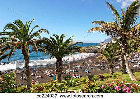 Beach. Puerto de Santiago. Tenerife. Canary Islands. Spain View Large Photo Image Stock Photo - Beach. Puerto de Santiago. Tenerife. Canary Islands. Spain. Fotosearch