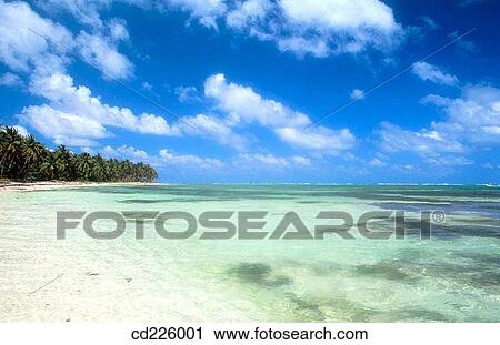 Beach. Punta Cana (eastern tip of the island). Dominican Republic. West Indies. Caribbean View Large Photo Image Stock Image - Beach. Punta Cana (eastern tip of the island). Dominican Republic. West Indies. Caribbean. Fotosearch