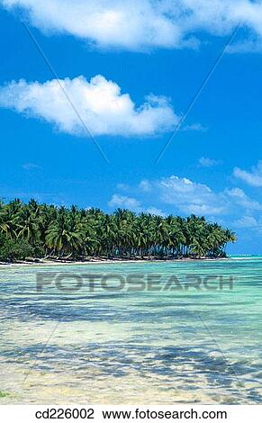Stock Image - Beach. Punta Cana (eastern tip of the island). Dominican Republic. West Indies. Caribbean. Fotosearch