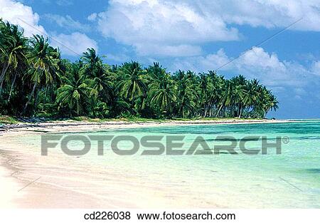 Stock Photo - Beach. Punta Cana (eastern tip of the island). Dominican Republic. West Indies. Caribbean. Fotosearch