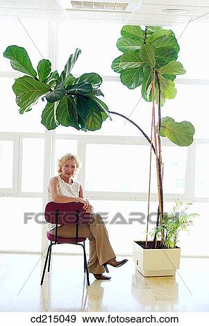 big, business, businesspeople, businesswoman, chair View Large Photo Image Stock Photo - big, business, businesspeople, businesswoman, chair. Fotosearch
