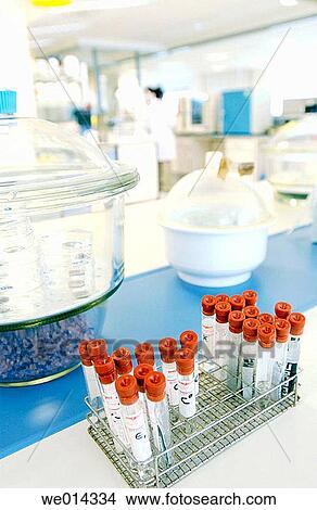 Biotechnology laboratory View Large Photo Image Picture - Biotechnology laboratory. Fotosearch