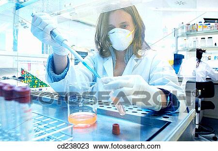 Stock Image - Biotechnology laboratory. Fotosearch