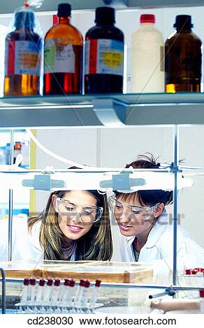 Biotechnology laboratory View Large Photo Image Stock Image - Biotechnology laboratory. Fotosearch