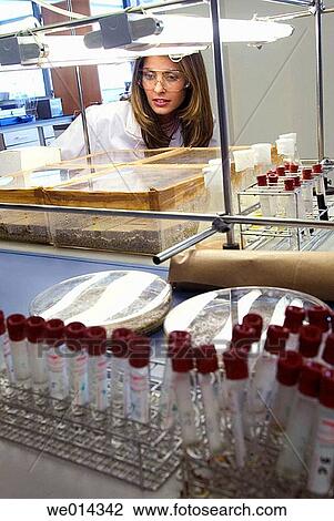Biotechnology laboratory View Large Photo Image Stock Image - Biotechnology laboratory. Fotosearch