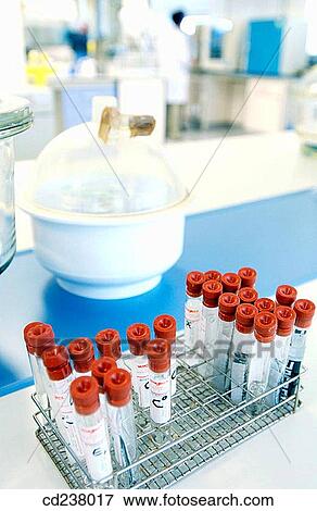 Biotechnology laboratory View Large Photo Image Stock Photo - Biotechnology laboratory. Fotosearch