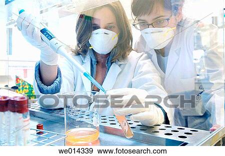 Biotechnology laboratory View Large Photo Image Stock Photo - Biotechnology laboratory. Fotosearch
