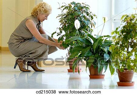 blond, businesspeople, businesswoman, Care take View Large Photo Image Stock Photo - blond, businesspeople, businesswoman, Care take. Fotosearch