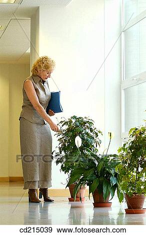 blond, businesspeople, businesswoman, Care take View Large Photo Image Stock Photo - blond, businesspeople, businesswoman, Care take. Fotosearch
