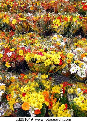 blossom, abundant, bloom, background, assorted, abundance View Large Photo Image Stock Photo - blossom, abundant, bloom, background, assorted, abundance. Fotosearch