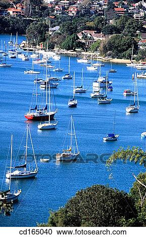 Boats moored in cove. Sydney. Australia View Large Photo Image Stock Image - Boats moored in cove. Sydney. Australia. Fotosearch