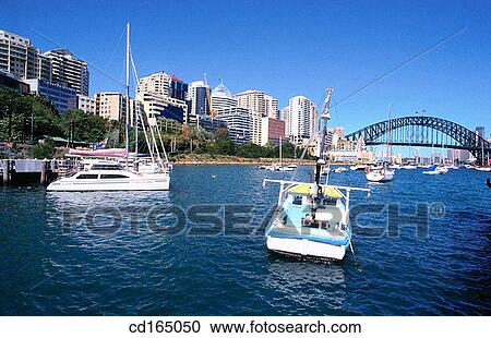 Boats moored in Lavender Bay. Sydney. Australia View Large Photo Image Stock Image - Boats moored in Lavender Bay. Sydney. Australia. Fotosearch