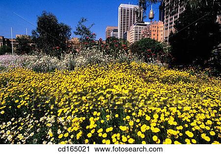 Stock Image - Botanical Gardens. Sydney. Australia. Fotosearch