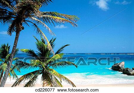 Bottom Bay beach (south east coast). Barbados. West Indies. Caribbean View Large Photo Image Stock Photo - Bottom Bay beach (south east coast). Barbados. West Indies. Caribbean. Fotosearch