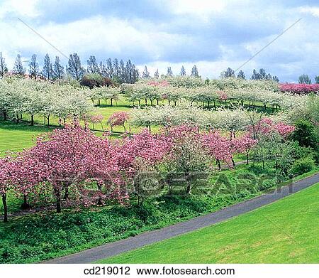 Braidburn Valley Park. Edinburgh. Scotland View Large Photo Image Stock Image - Braidburn Valley Park. Edinburgh. Scotland. Fotosearch
