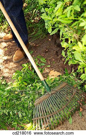 branch, broom, brush, contemporary View Large Photo Image Stock Photograph - branch, broom, brush, contemporary. Fotosearch