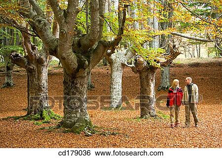 calm, chat, autumn View Large Photo Image Stock Photograph - calm, chat, autumn. Fotosearch