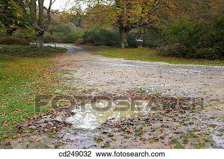 calm, ground, day, country, autumn View Large Photo Image Stock Image - calm, ground, day, country, autumn. Fotosearch