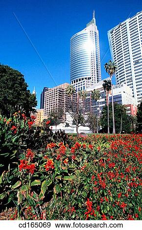 Central Business District from Botanical Gardens, Sydney, Australia View Large Photo Image Stock Photo - Central Business District from Botanical Gardens, Sydney, Australia. Fotosearch