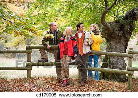 chat, autumn View Large Photo Image Stock Photography - chat, autumn. Fotosearch