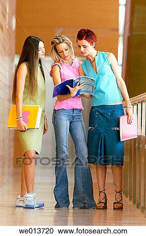 chat, companion, adolescence View Large Photo Image Stock Image - chat, companion, adolescence. Fotosearch