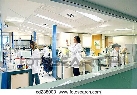 Chemical characterization laboratory View Large Photo Image Stock Image - Chemical characterization laboratory. Fotosearch