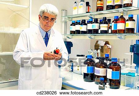 Chemical characterization laboratory View Large Photo Image Stock Photograph - Chemical characterization laboratory. Fotosearch
