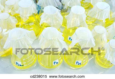 Chemical characterization laboratory View Large Photo Image Stock Photography - Chemical characterization laboratory. Fotosearch