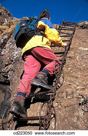 climber, ascend, climb, back view, ascending, adventure View Large Photo Image Stock Image - climber, ascend, climb, back view, ascending, adventure. Fotosearch