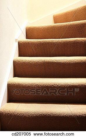 Close-up, concept, corner, detail, Fitted carpet View Large Photo Image Stock Photography - Close-up, concept, corner, detail, Fitted carpet. Fotosearch