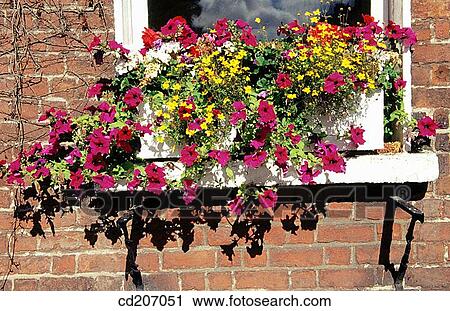 Stock Image - Close-up, concept, day, decoration, detail. Fotosearch