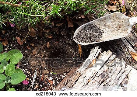 Close-up, contemporary, day, detail, fertilizer View Large Photo Image Stock Image - Close-up, contemporary, day, detail, fertilizer. Fotosearch