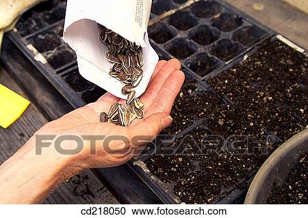 Close-up, contemporary, day, detail View Large Photo Image Stock Image - Close-up, contemporary, day, detail. Fotosearch