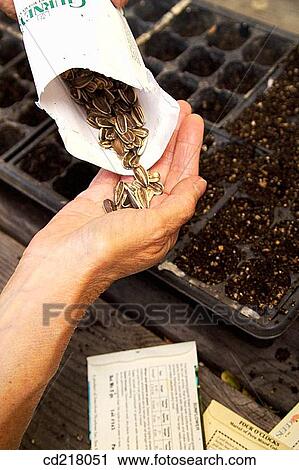 Close-up, contemporary, day, detail View Large Photo Image Stock Image - Close-up, contemporary, day, detail. Fotosearch